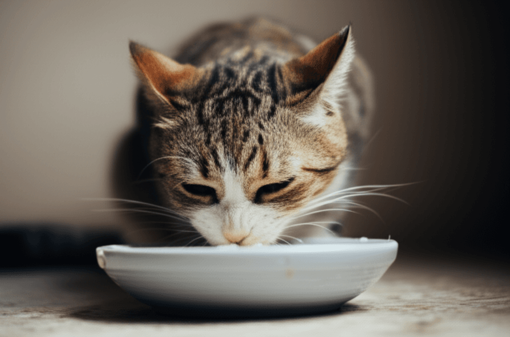 672e806f-aacb-4a8c-b12e-e2dd2e2869d2