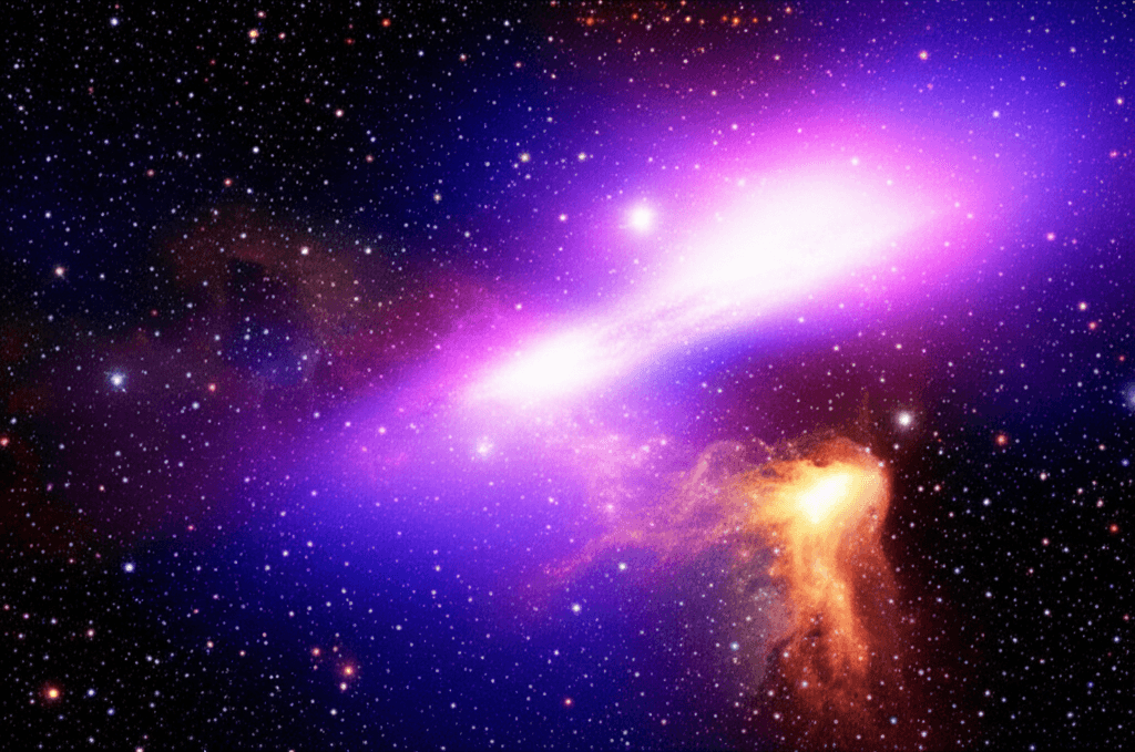 9b553c8a-2a1f-4591-84e9-2d9c8a905e1f